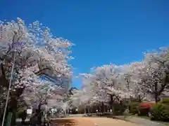 光雲神社の自然