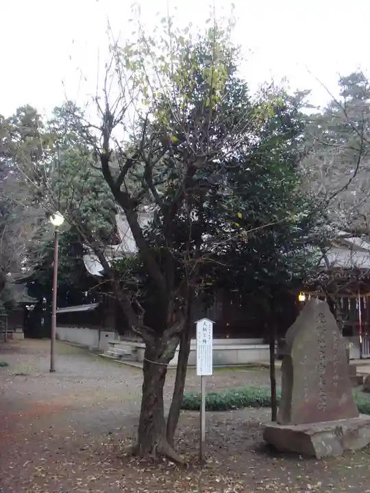 北野天神社の自然