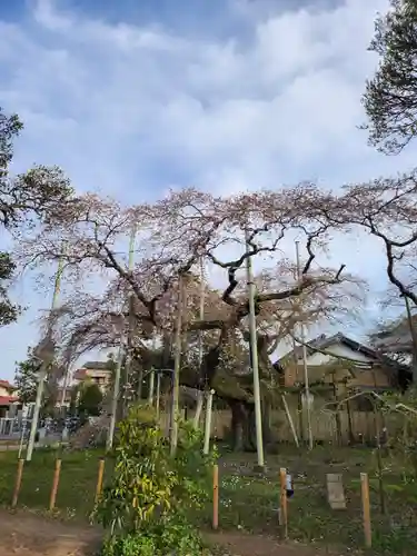 般若院(茨城県)