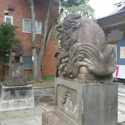 穏田神社の狛犬