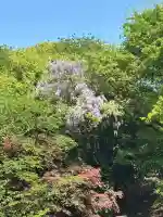 射水神社の自然