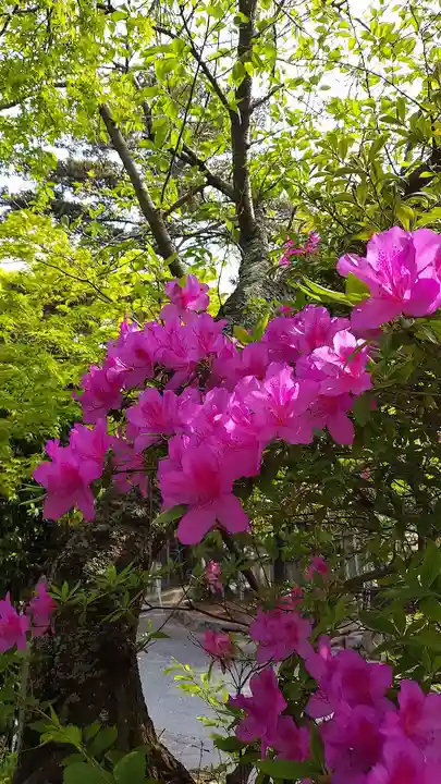 忌宮神社(山口県)