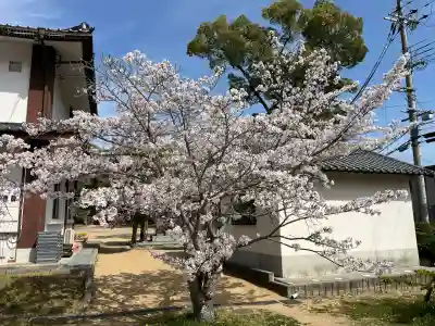 伊川谷惣社(兵庫県)