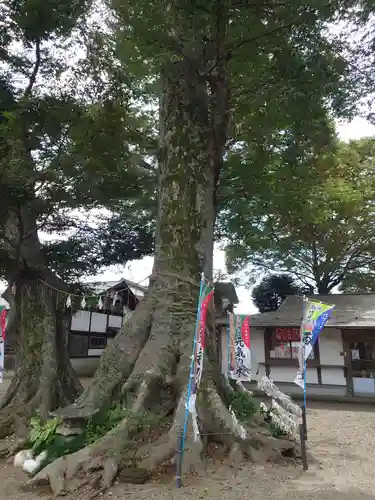 八枝神社の自然