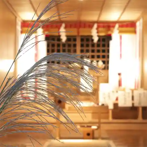 高司神社〜むすびの神の鎮まる社〜の本殿・本堂