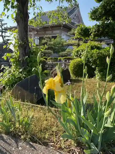 正眼寺(愛知県)