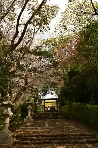 松山神社(愛媛県)