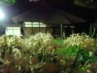 横浜 西方寺の本殿・本堂