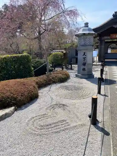 宝徳寺の庭園