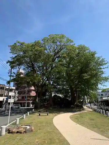 三嶋大社(静岡県)