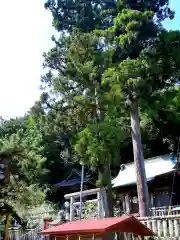 諏訪神社の建物その他