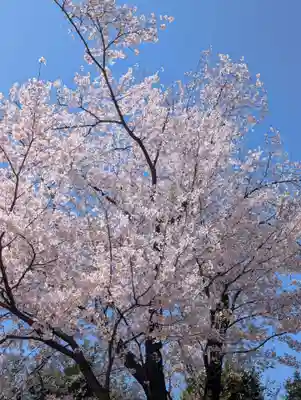 淡島社(神奈川県)