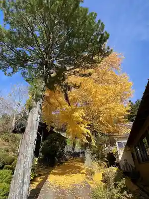 曹洞宗 永松山 龍泉寺の周辺