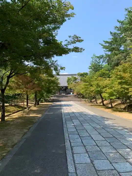 仁和寺の庭園
