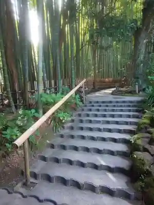 報国寺(神奈川県)