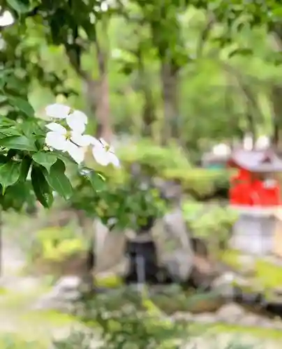 熊野神社の自然