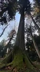 布勢立石神社(滋賀県)