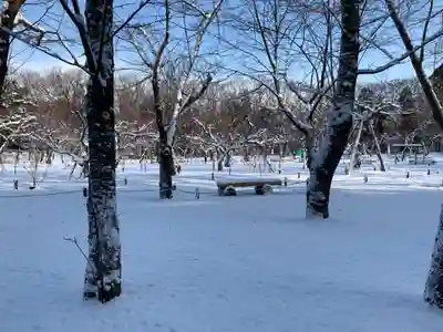 北海道神宮の周辺