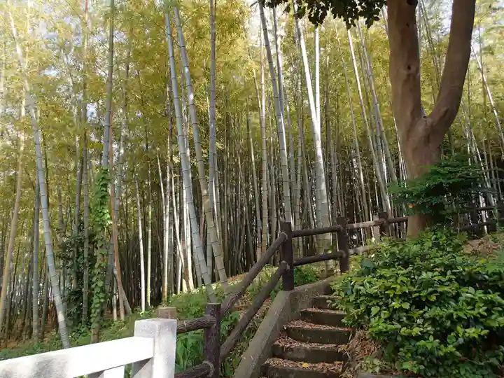 勝田杉山神社の周辺
