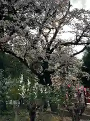 簳幹八幡宮(東京都)