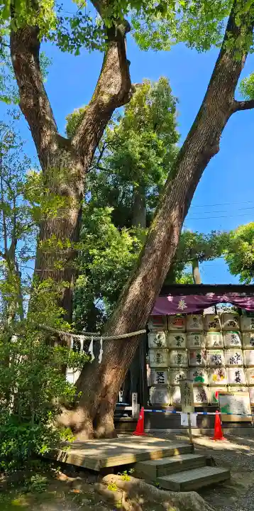 武蔵一宮氷川神社の{uncategorized: "未分類", other: "その他", undefined: "問題あり", building: "その他建物", grave: "お墓", sacred_gate: "鳥居", guardian: "狛犬", statue: "像", buddha: "仏像", history: "歴史", nature: "自然", garden: "庭園", animal: "動物", pagoda: "塔", temizu: "手水舎", mountain_gate: "山門・神門", sanctuary: "本殿・本堂", subordinate: "末社・摂社", art: "芸術", scenery: "景色", jizo: "地蔵", ema: "絵馬", goshuin: "御朱印", omikuji: "おみくじ", items: "授与品その他", amulet: "お守り", goshuincho: "御朱印帳", eats: "食事", festival: "お祭り", votive_dance: "神楽", shichigosan: "七五三参", wedding: "結婚式", experience: "体験その他", initially: "初詣", around: "周辺", anti_infection: "感染症対策"}