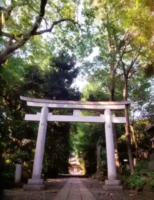 代々木八幡宮の鳥居