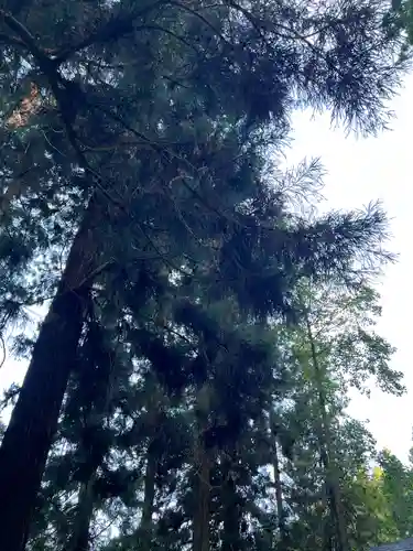 大宮温泉神社(栃木県)