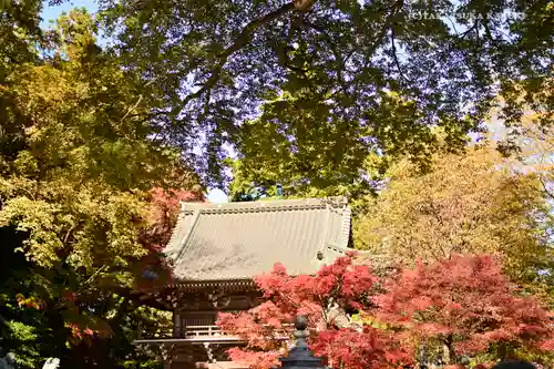 高尾山薬王院(東京都)