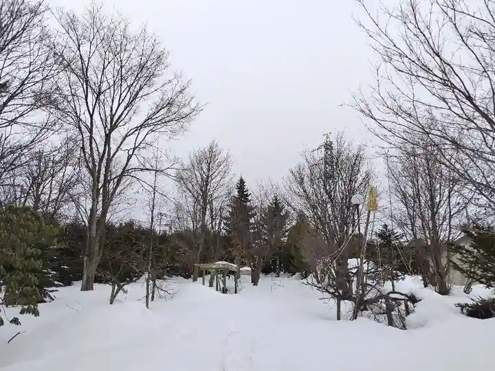 美瑛神社の自然