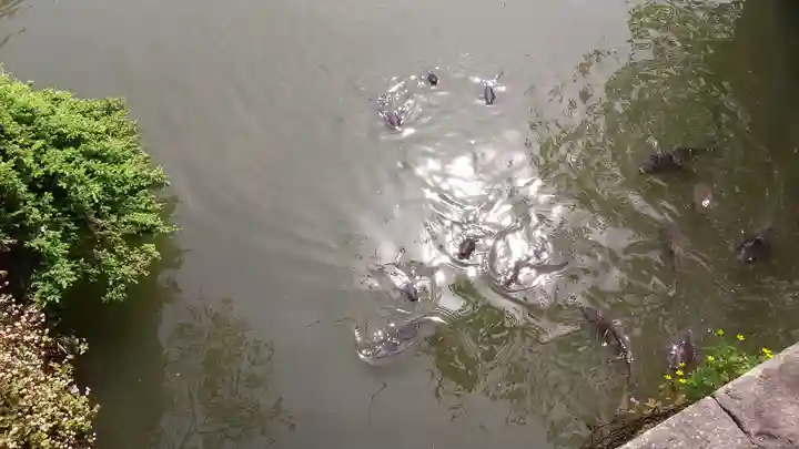 三嶋大社(静岡県)