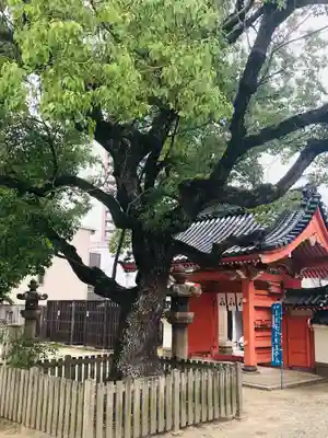 四天王寺庚申堂(大阪府)