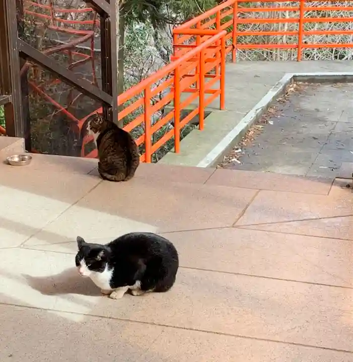 成田山福井別院九頭龍寺の動物