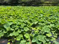 旗上弁財天社(神奈川県)