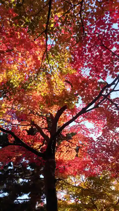 相馬神社(北海道)