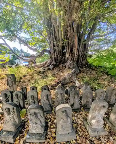 黄金龍神社（桂不動）(北海道)