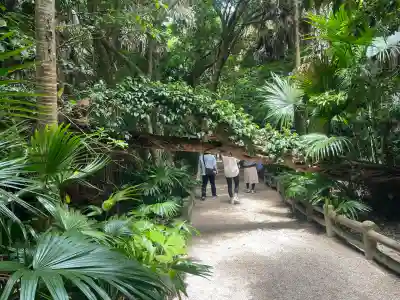 青島神社（青島神宮）の{uncategorized: "未分類", other: "その他", undefined: "問題あり", building: "その他建物", grave: "お墓", sacred_gate: "鳥居", guardian: "狛犬", statue: "像", buddha: "仏像", history: "歴史", nature: "自然", garden: "庭園", animal: "動物", pagoda: "塔", temizu: "手水舎", mountain_gate: "山門・神門", sanctuary: "本殿・本堂", subordinate: "末社・摂社", art: "芸術", scenery: "景色", jizo: "地蔵", ema: "絵馬", goshuin: "御朱印", omikuji: "おみくじ", items: "授与品その他", amulet: "お守り", goshuincho: "御朱印帳", eats: "食事", festival: "お祭り", votive_dance: "神楽", shichigosan: "七五三参", wedding: "結婚式", experience: "体験その他", initially: "初詣", around: "周辺", anti_infection: "感染症対策"}