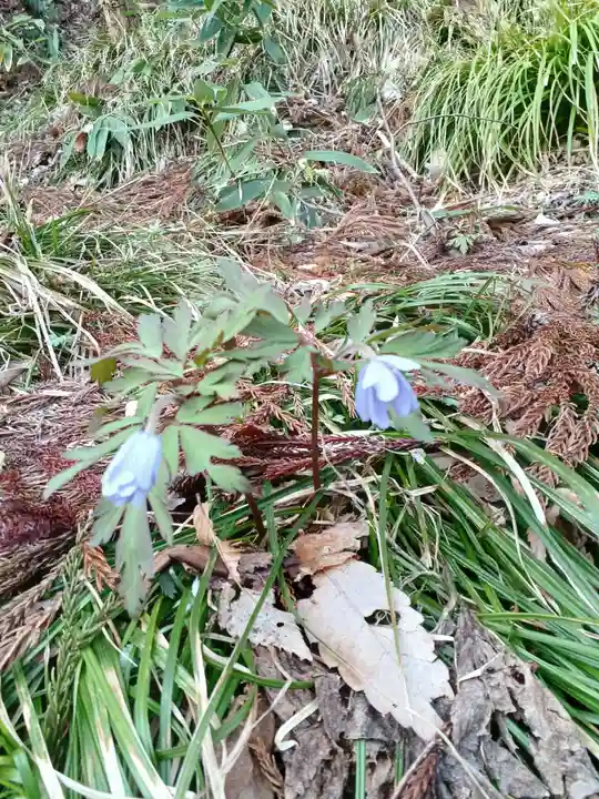 白狐山光星寺(山形県)