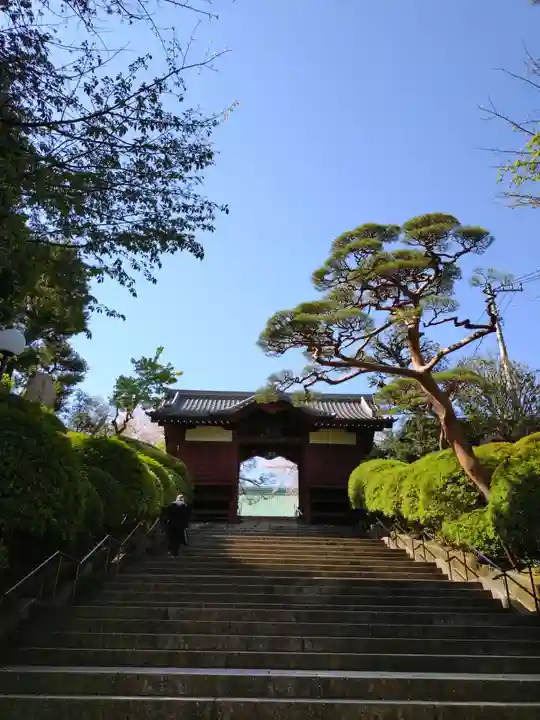 護国寺(東京都)