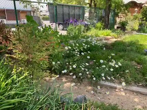 本莊神社(岐阜県)