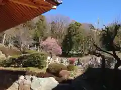 龍散寺の庭園