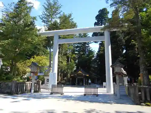 白山比咩神社の鳥居