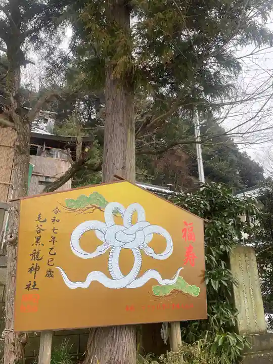 毛谷黒龍神社(福井県)
