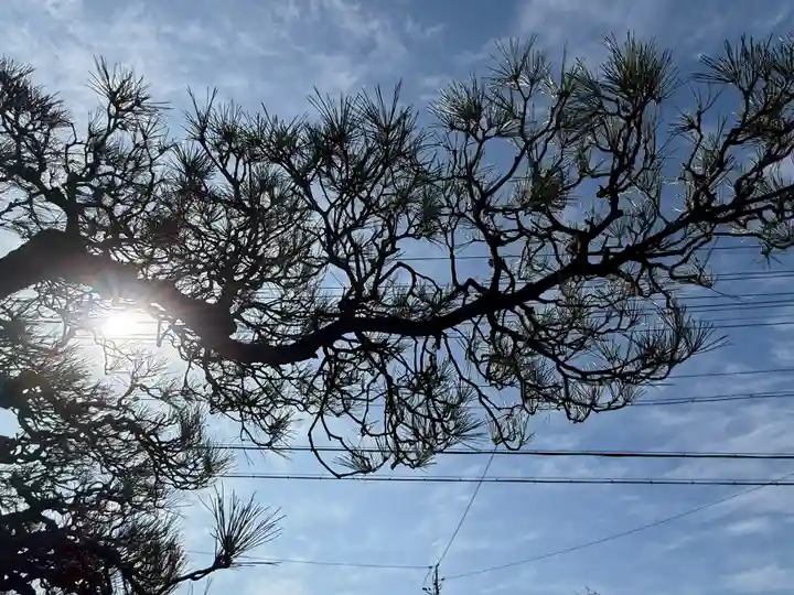 西方山極楽寺(岐阜県)
