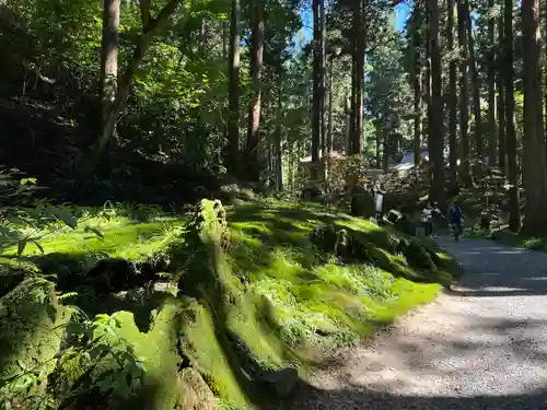 御岩神社(茨城県)
