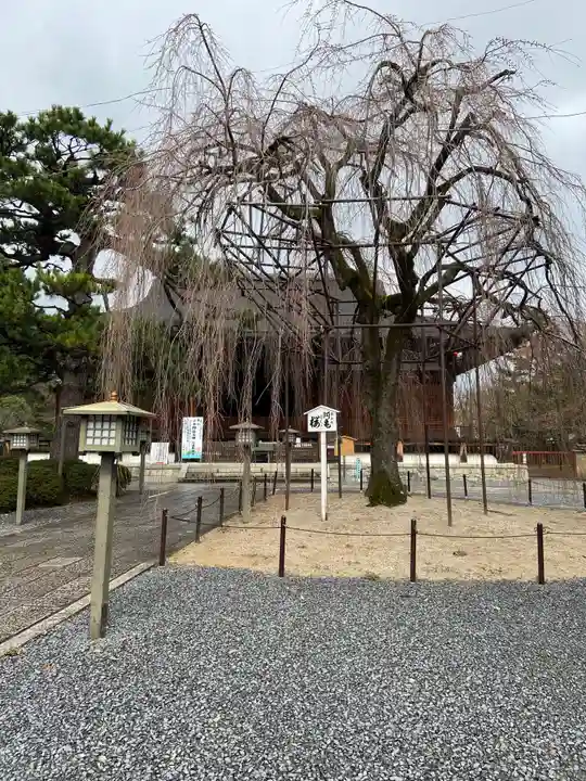 大報恩寺(千本釈迦堂)のその他建物
