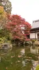 善峯寺(京都府)