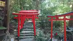 白笹稲荷神社の鳥居