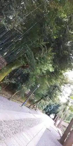 大徳寺のその他建物