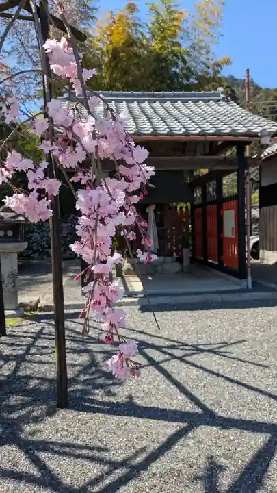 流護因神社(滋賀県)