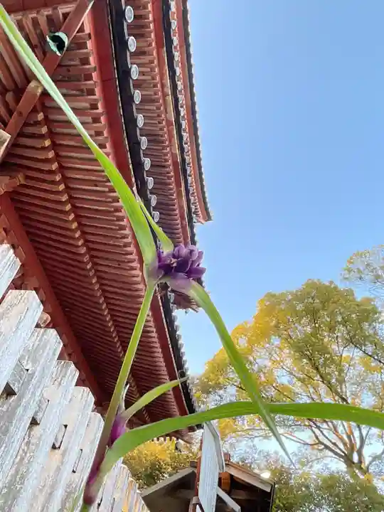 甚目寺(愛知県)